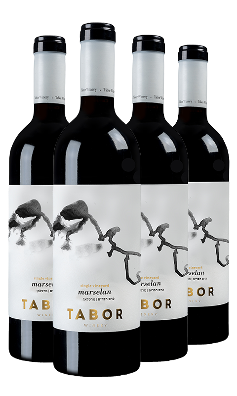 רביעית תבור סינגל ויניארד מרסלאן